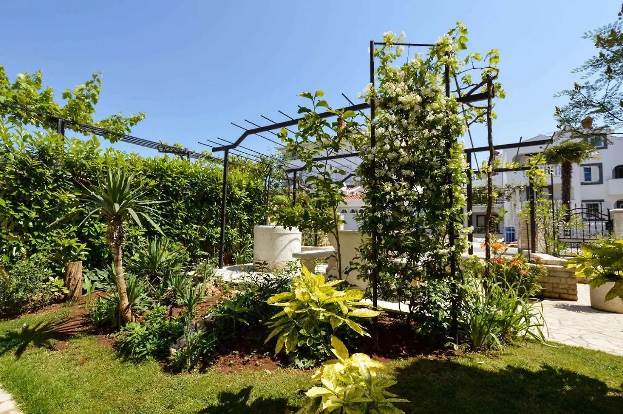 Apartment Pjescana Uvala/Istrien 11401
